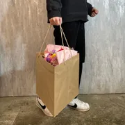三角袋（大）