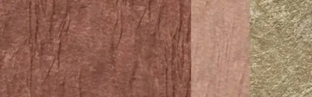 特集1